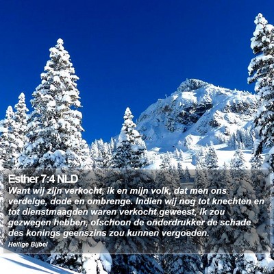 Esther 7:4 NLD Bible Verse Image