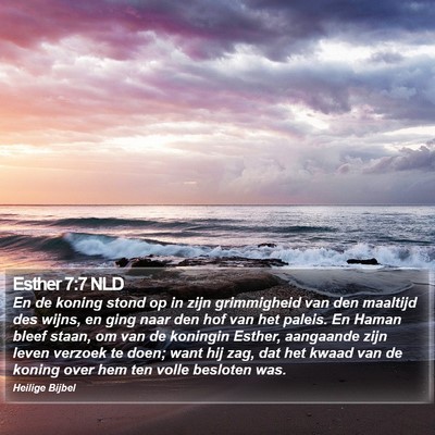 Esther 7:7 NLD Bible Verse Image