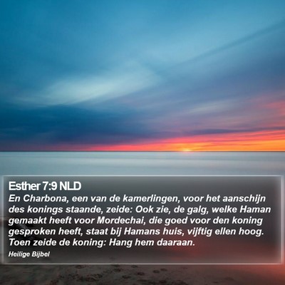 Esther 7:9 NLD Bible Verse Image