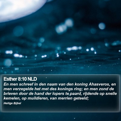 Esther 8:10 NLD Bible Verse Image