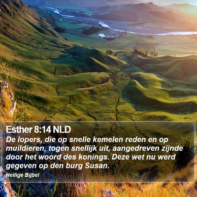 Esther 8:14 NLD Bible Verse Image