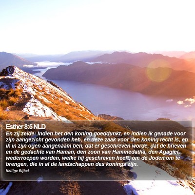 Esther 8:5 NLD Bible Verse Image