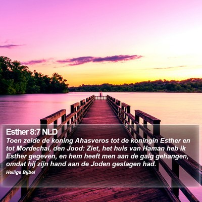 Esther 8:7 NLD Bible Verse Image