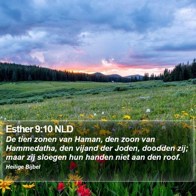 Esther 9:10 NLD Bible Verse Image
