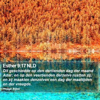 Esther 9:17 NLD Bible Verse Image