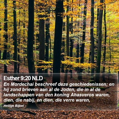 Esther 9:20 NLD Bible Verse Image