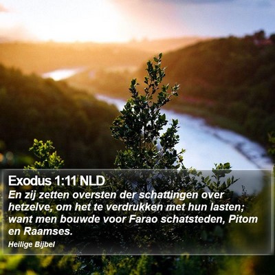 Exodus 1:11 NLD Bible Verse Image
