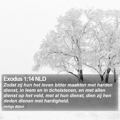 Exodus 1:14 NLD Bible Verse Image
