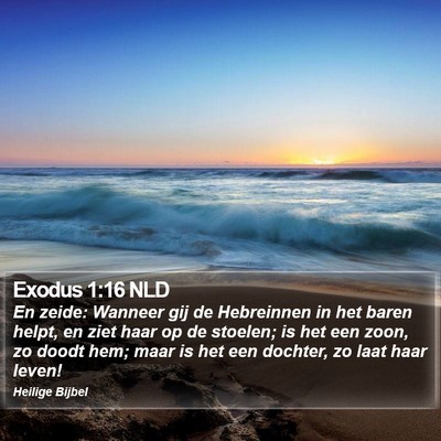 Exodus 1:16 NLD Bible Verse Image