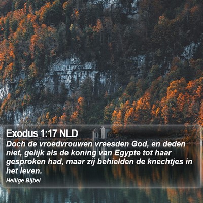 Exodus 1:17 NLD Bible Verse Image