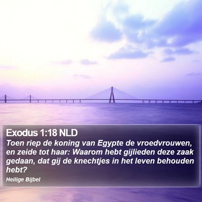 Exodus 1:18 NLD Bible Verse Image