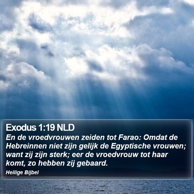Exodus 1:19 NLD Bible Verse Image