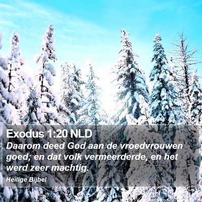 Exodus 1:20 NLD Bible Verse Image
