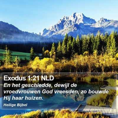 Exodus 1:21 NLD Bible Verse Image
