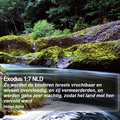 Exodus 1:7 NLD Bible Verse Image