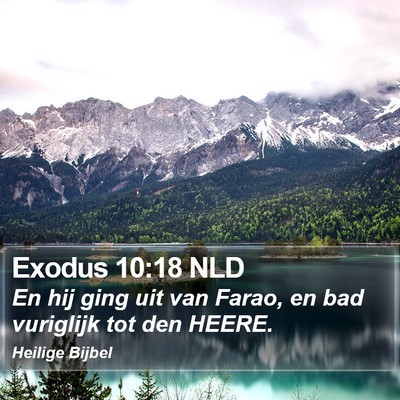 Exodus 10:18 NLD Bible Verse Image