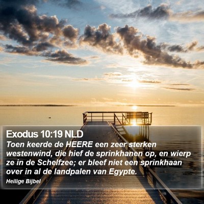 Exodus 10:19 NLD Bible Verse Image