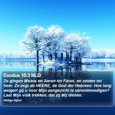 Exodus 10:3 NLD Bible Verse Image