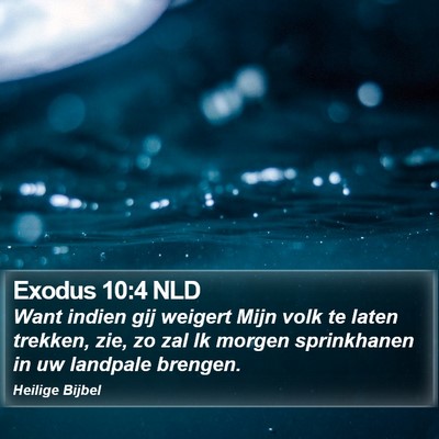 Exodus 10:4 NLD Bible Verse Image