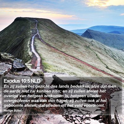 Exodus 10:5 NLD Bible Verse Image