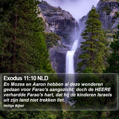 Exodus 11:10 NLD Bible Verse Image