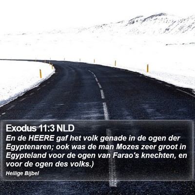 Exodus 11:3 NLD Bible Verse Image