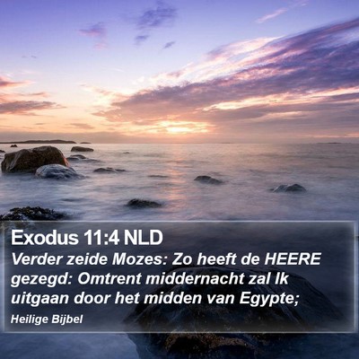 Exodus 11:4 NLD Bible Verse Image