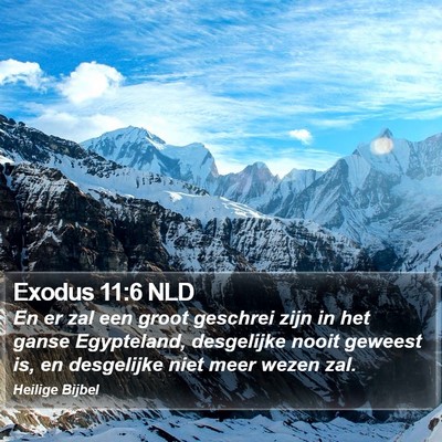 Exodus 11:6 NLD Bible Verse Image