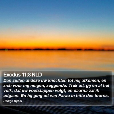 Exodus 11:8 NLD Bible Verse Image