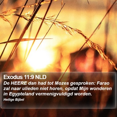 Exodus 11:9 NLD Bible Verse Image