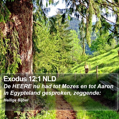 Exodus 12:1 NLD Bible Verse Image