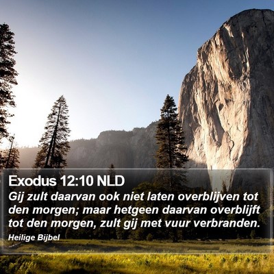 Exodus 12:10 NLD Bible Verse Image