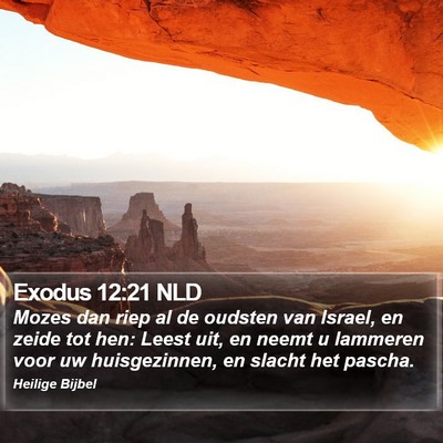 Exodus 12:21 NLD Bible Verse Image