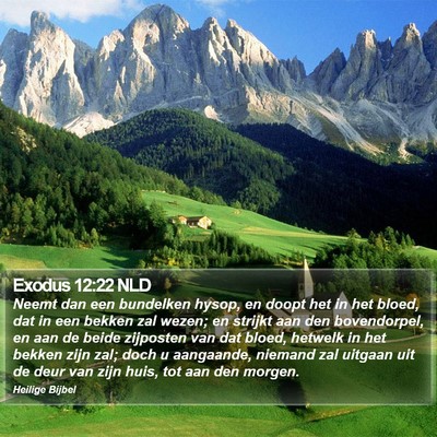 Exodus 12:22 NLD Bible Verse Image
