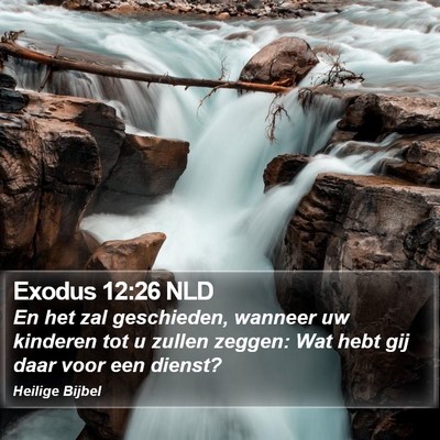 Exodus 12:26 NLD Bible Verse Image