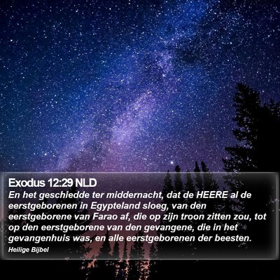 Exodus 12:29 NLD Bible Verse Image