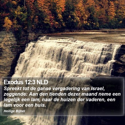 Exodus 12:3 NLD Bible Verse Image