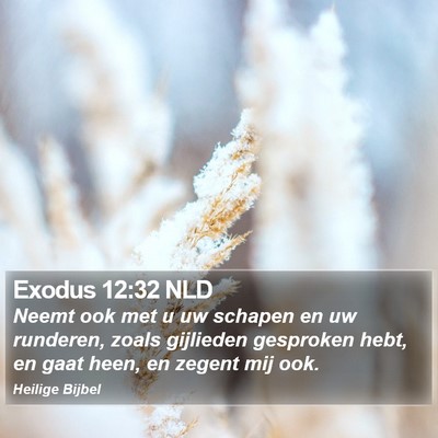 Exodus 12:32 NLD Bible Verse Image