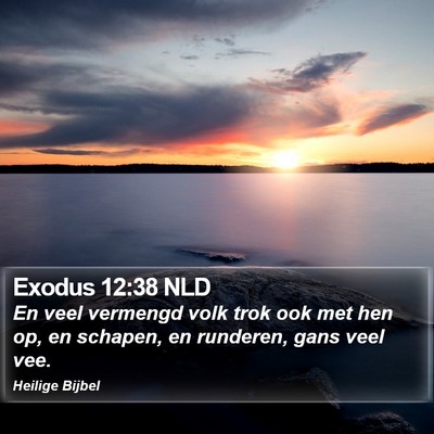 Exodus 12:38 NLD Bible Verse Image