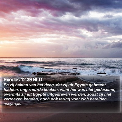 Exodus 12:39 NLD Bible Verse Image