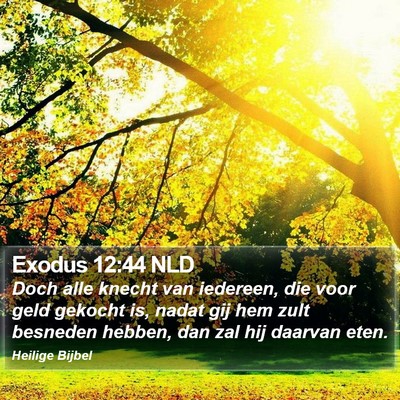 Exodus 12:44 NLD Bible Verse Image