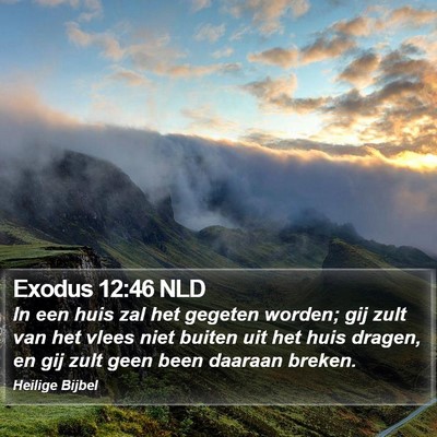Exodus 12:46 NLD Bible Verse Image