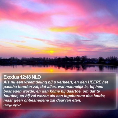 Exodus 12:48 NLD Bible Verse Image
