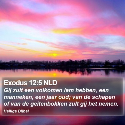 Exodus 12:5 NLD Bible Verse Image