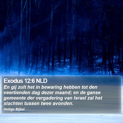 Exodus 12:6 NLD Bible Verse Image