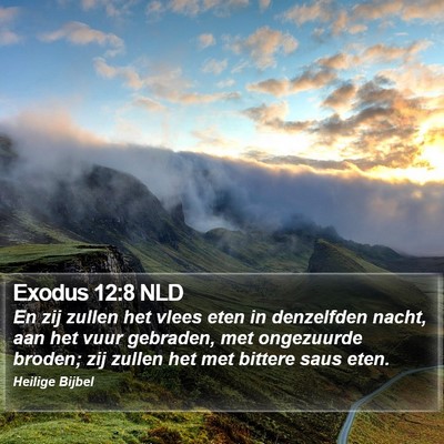 Exodus 12:8 NLD Bible Verse Image