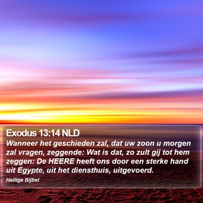 Exodus 13:14 NLD Bible Verse Image