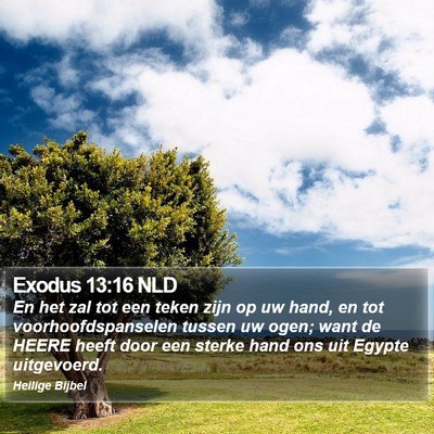 Exodus 13:16 NLD Bible Verse Image
