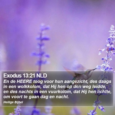 Exodus 13:21 NLD Bible Verse Image