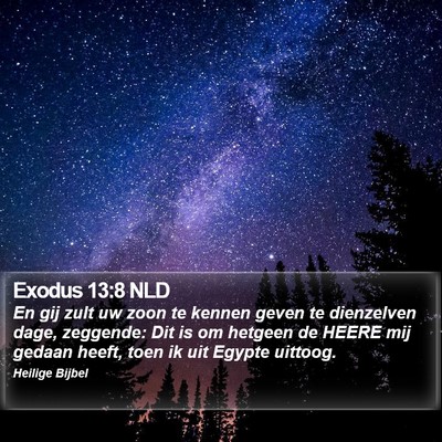 Exodus 13:8 NLD Bible Verse Image